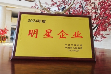 新春新景新气象 | 景兴纸业在平湖三干大会上喜摘荣誉！